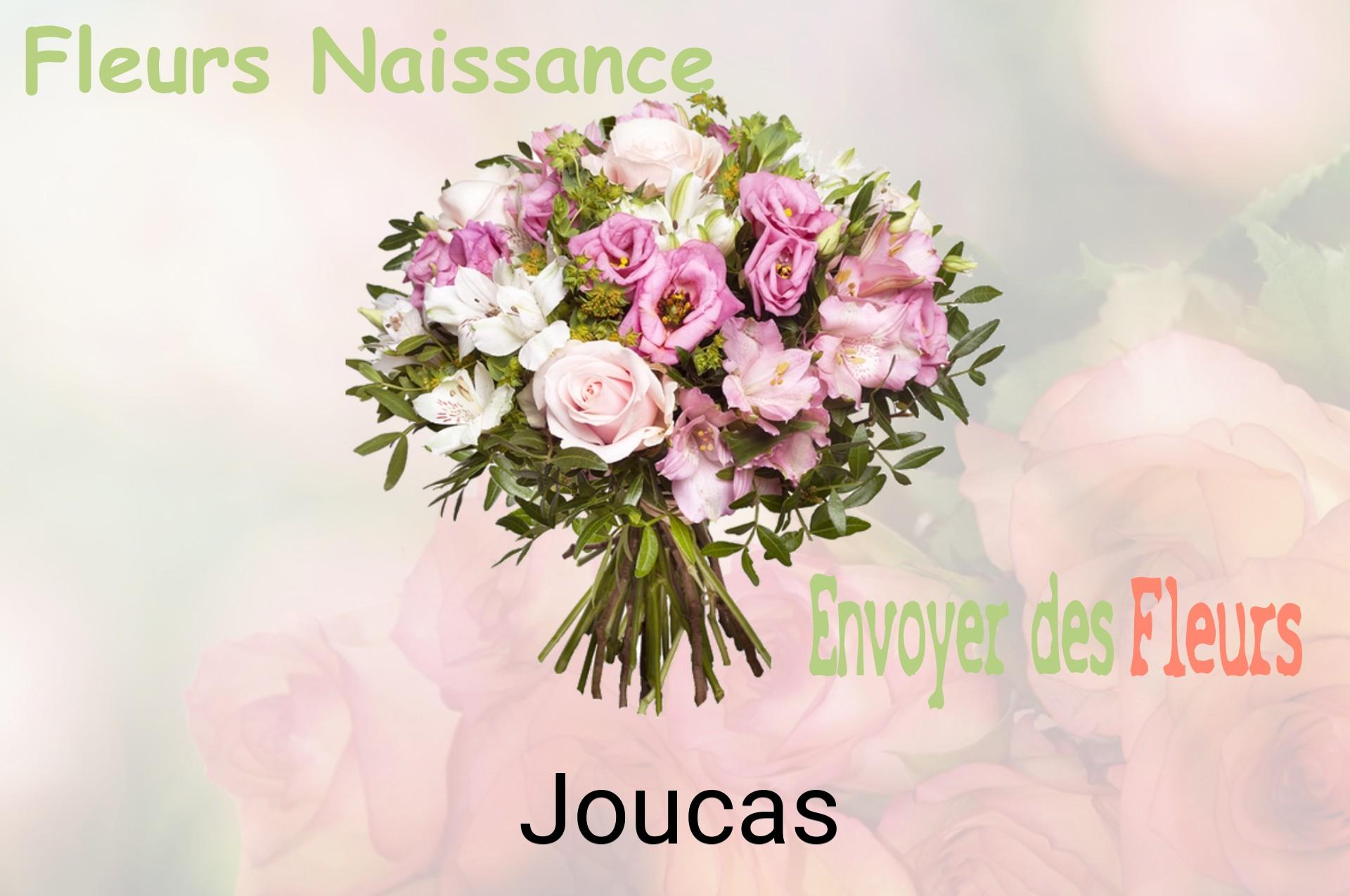 Bouquet de fleurs de naissance livré à Joucas